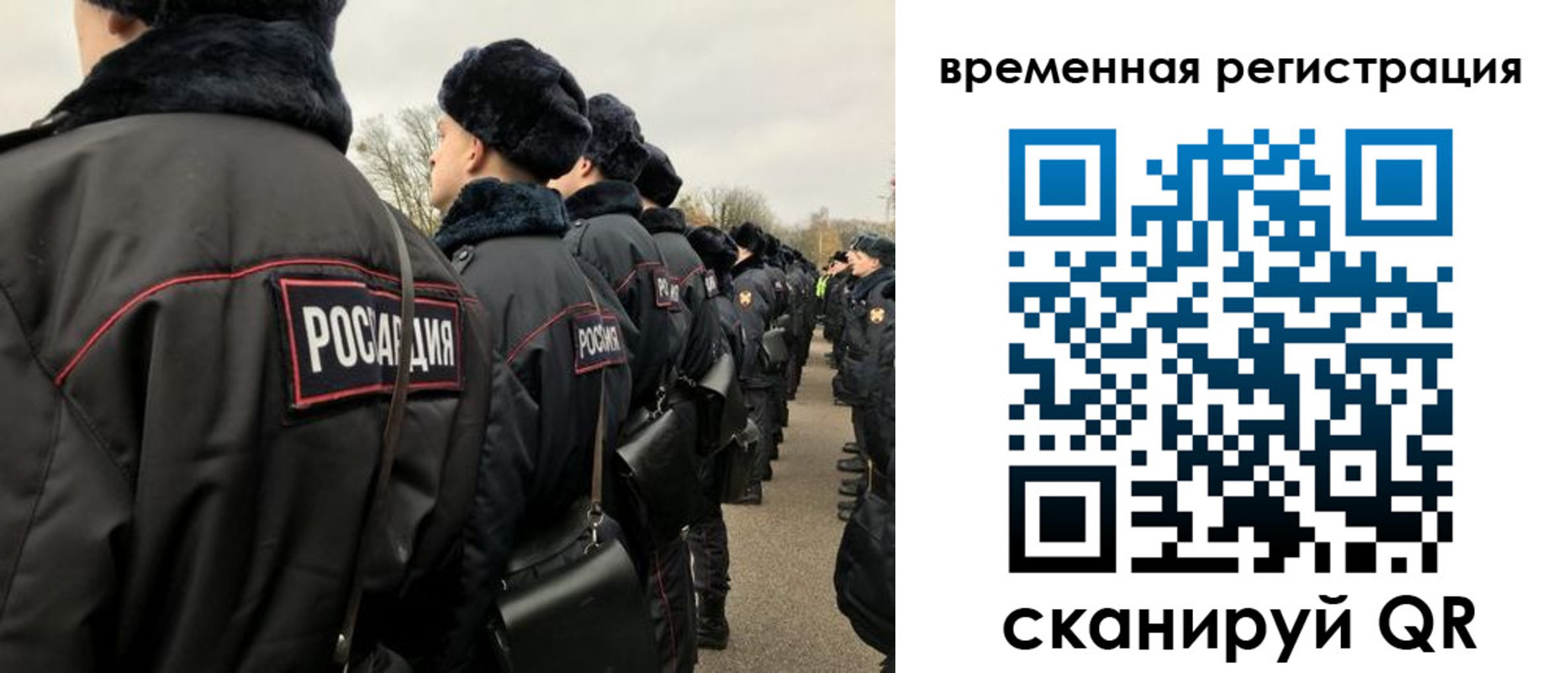 прописка гарантия в Амурске